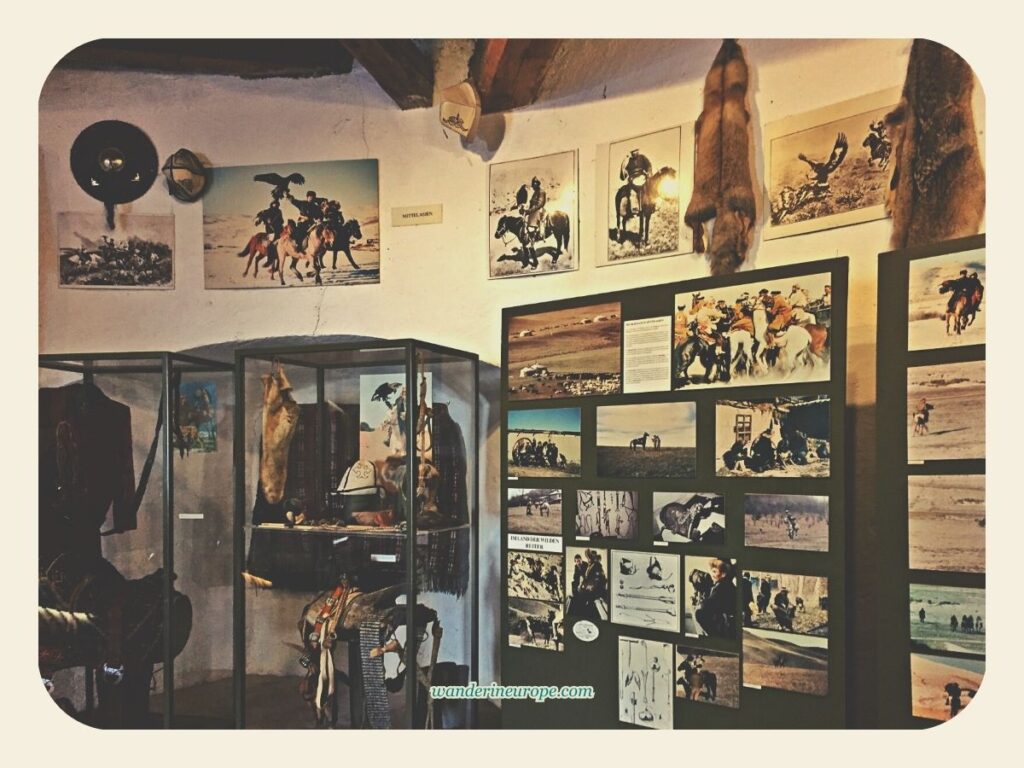 Exhibits inside Regional Falconry Center in Hohenwerfen Fortress, Werfen, Salzburg, Austria