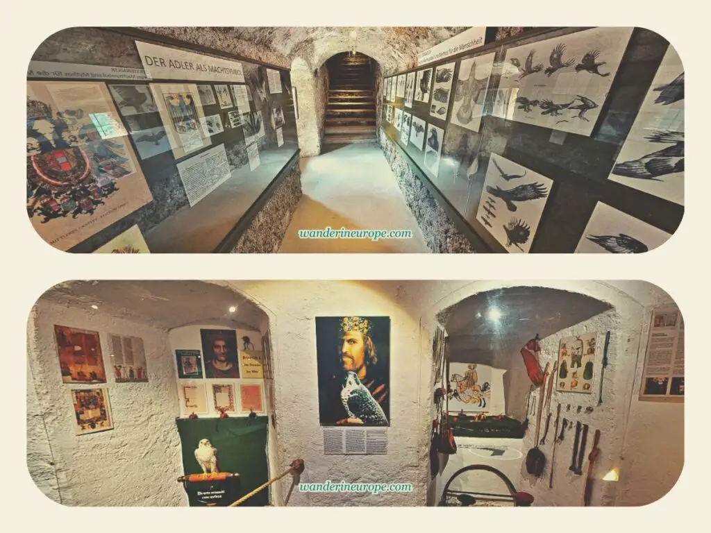 Regional Falconry Museum exhibits in the Dark Staircase of Hohenwerfen Fortress, Werfen, Salzburg, Austria