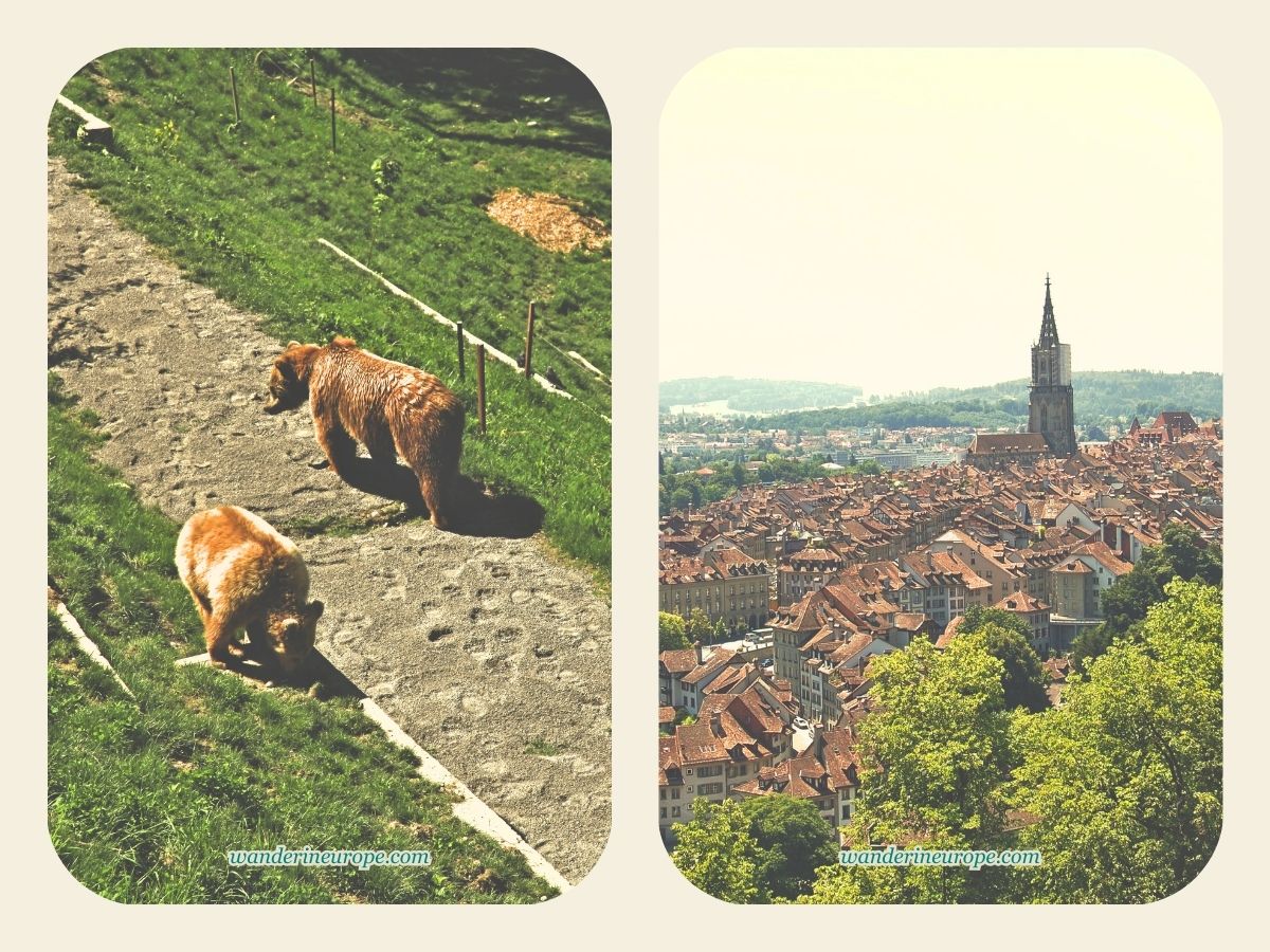 Bear Park (left), View from Rose Garden (right), tourist attractions for 2-day trip to Bern, Switzerland