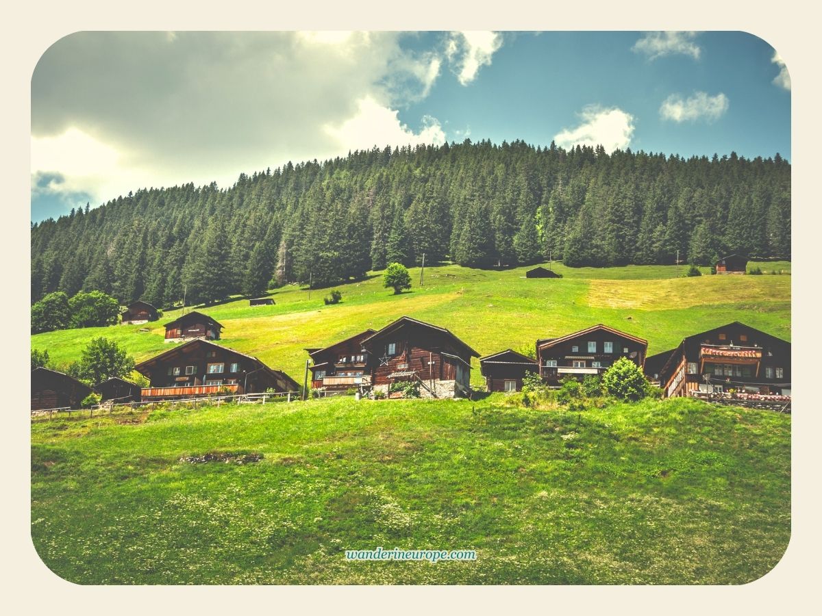 Chalets dotting the eye-pleasing meadows in Gimmelwald, Switzerland