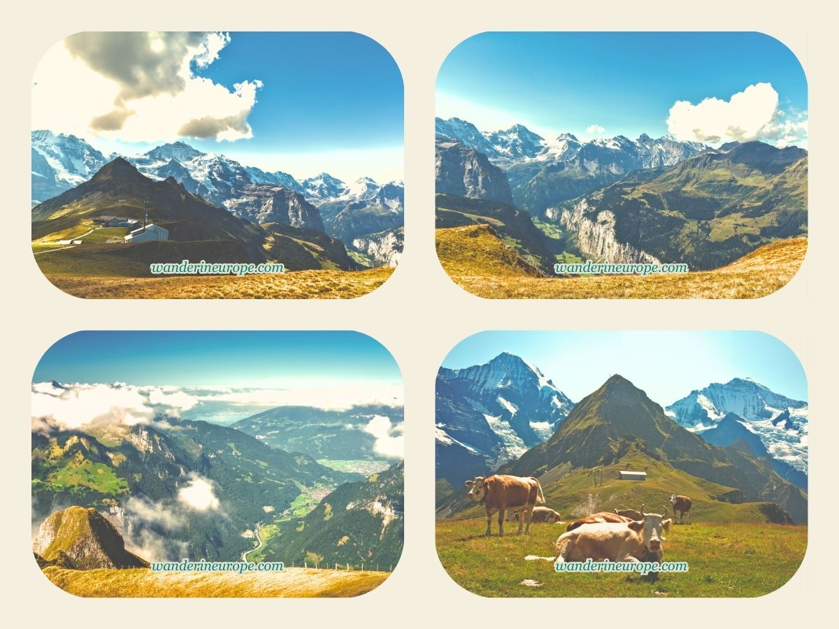 Different views from Männlichen in Jungfrau Region, Switzerland