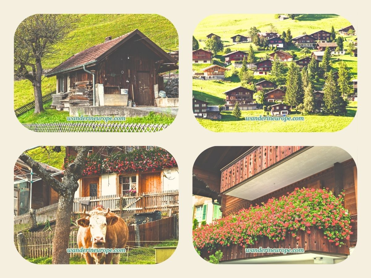 Grindelwald Village in Jungfrau Region, Switzerland