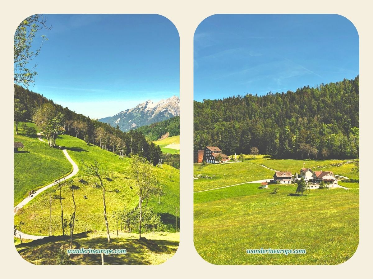 Hikes in Bürgenstock - trip from Lucerne, Switzerland (2)