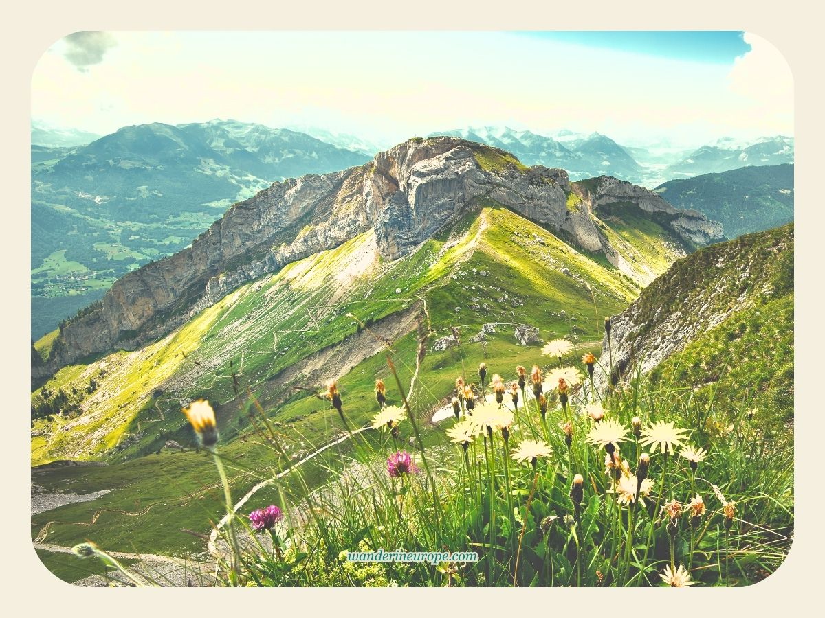 Lovely views from the flower trail in Mount Pilatus, Lucerne, Switzerland
