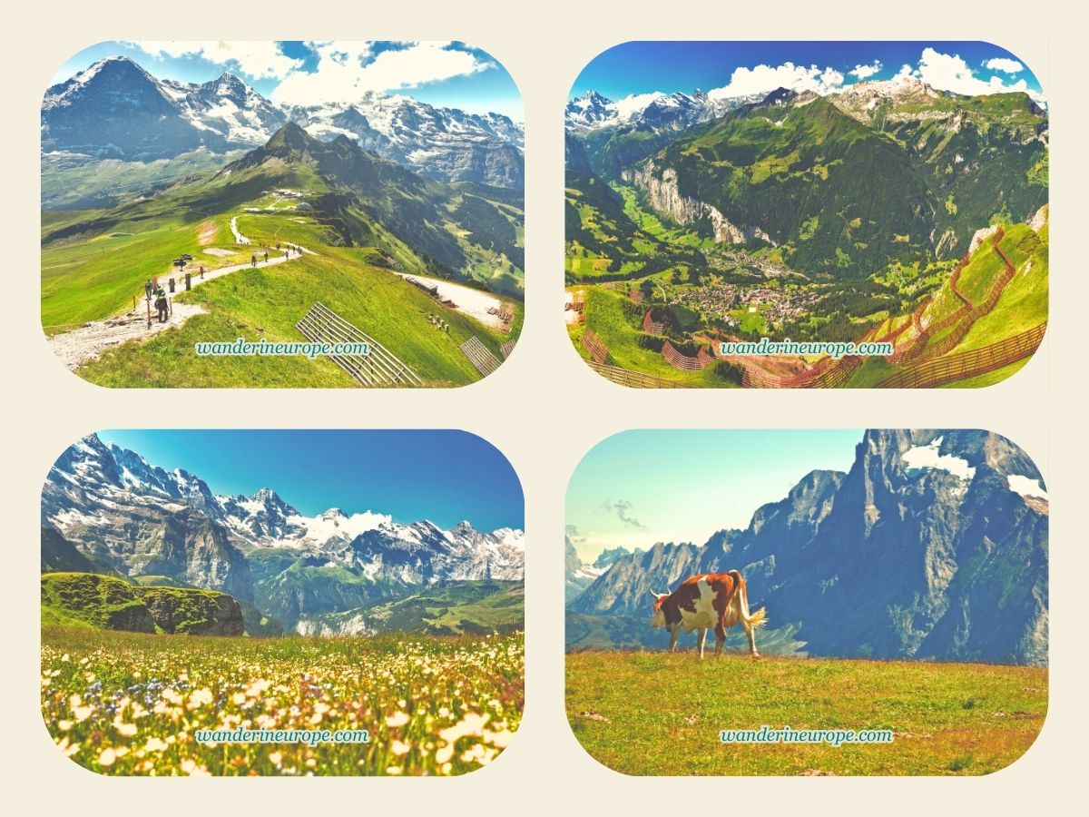 More beautiful scenery in Mannlichen, Jungfrau Region, Switzerland