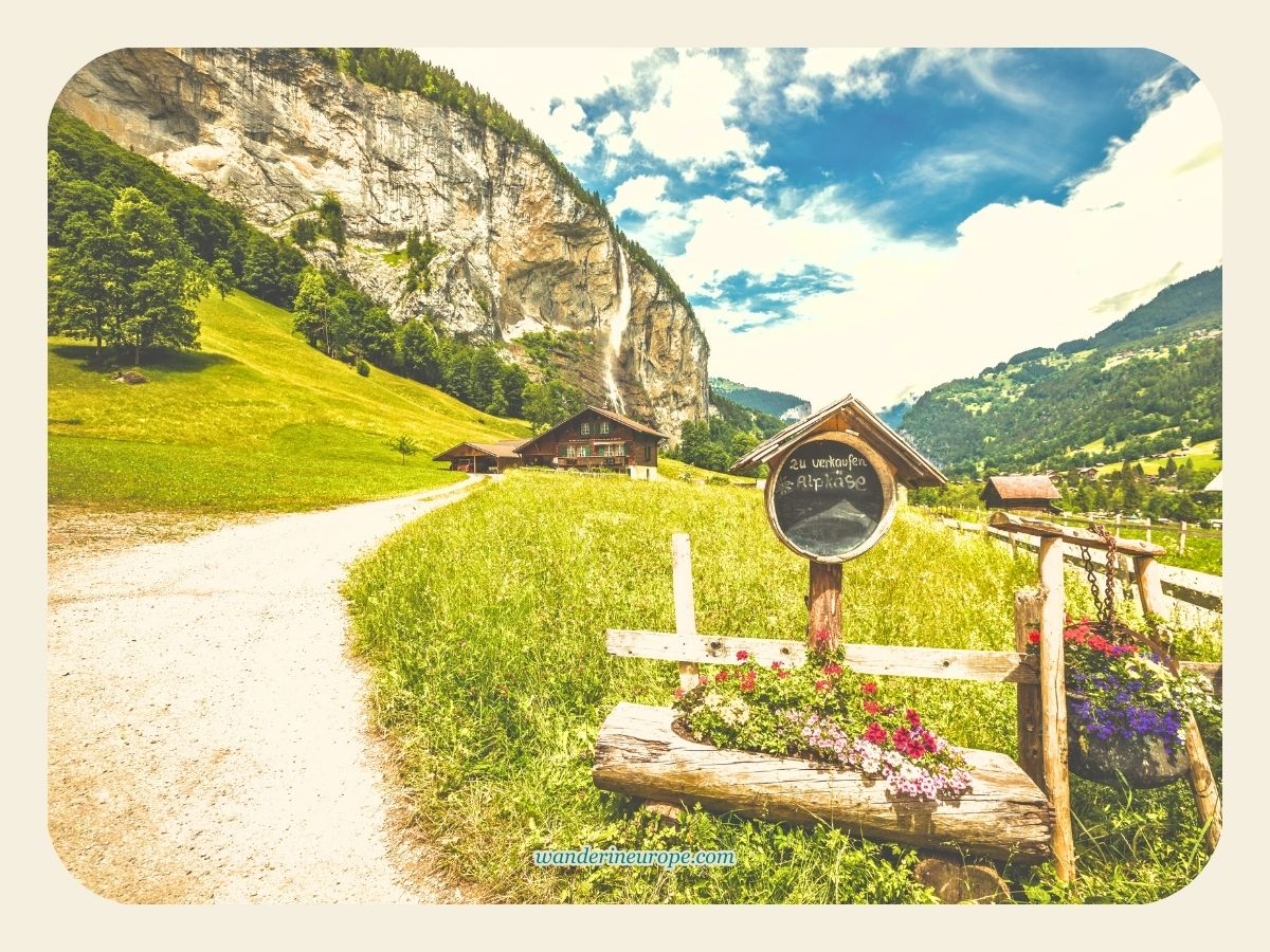The beautiful meadows during summer in Lauterbrunnen-Stechelberg hiking trail, Lauterbrunnen, Switzerlan