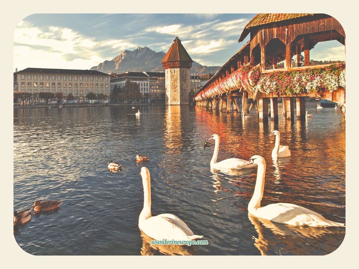 View of the Chapel Bridge with Mount Pilatus at the backdrop in Lucerne, Switzerland