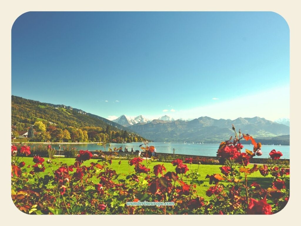 View of the Swiss Alps from Schadau Castle in Thun, Switzerland